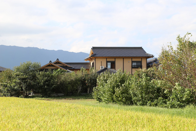 02－孫3人となかよく暮らす4世代住宅－福岡県朝倉市上寺_2418-645.jpg