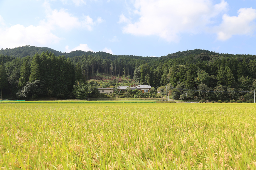 03－デッキからの眺めを楽しむ小高い丘に建つ家－福岡県朝倉市日向石_1963-980.jpg