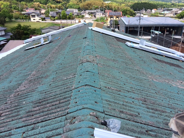 image1.JPG