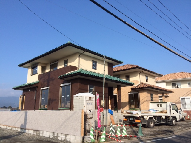 image1.JPG