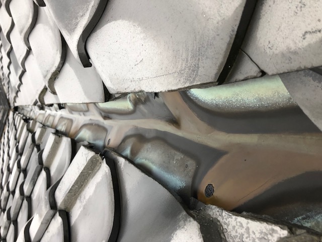 image1.jpeg