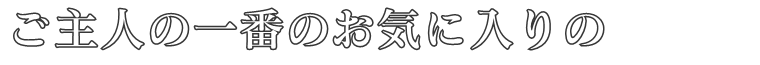 ご主人の一番のお気に入りの